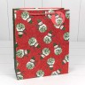 Пакет подарочный Пакет подарочный