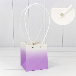 Пакет подарочный  