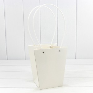 Пакет подарочный         