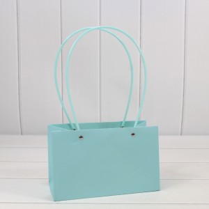 Пакет подарочный    