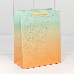 Пакет подарочный 