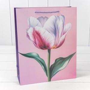 Пакет подарочный    