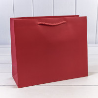 Пакет подарочный      