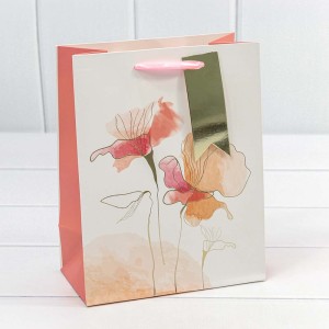 Пакет подарочный   