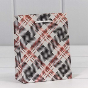 Пакет подарочный