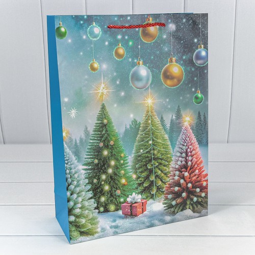 Пакет подарочный