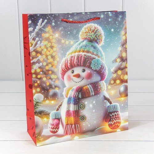 Пакет подарочный