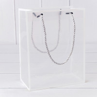 Пакет пластиковый   