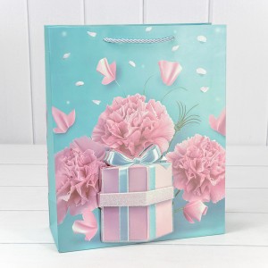 Пакет подарочный  