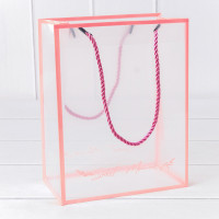 Пакет пластиковый    