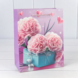 Пакет подарочный  