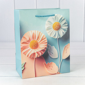 Пакет подарочный   